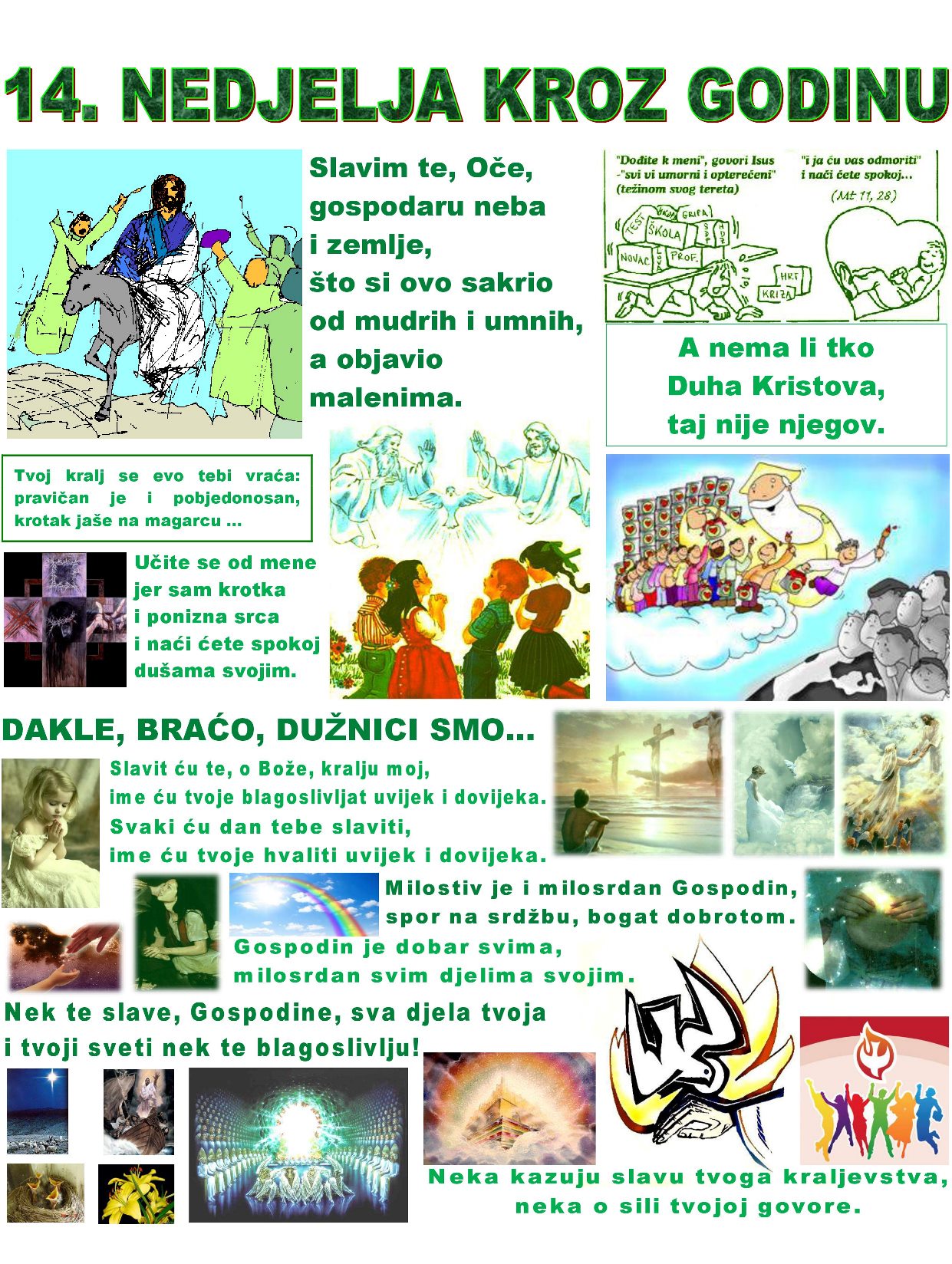 14. nedjelja